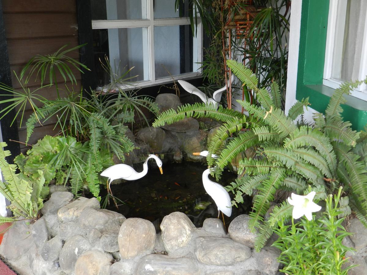 Eeescart Resort Nuwaraeliya Nuwara Eliya Exteriér fotografie